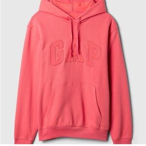 GAP Men's Coral Hoodie Sweater